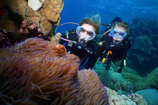 Quicksilver Dive 4 Day PADI Learn to Dive Course - The Logistics and Practicalities