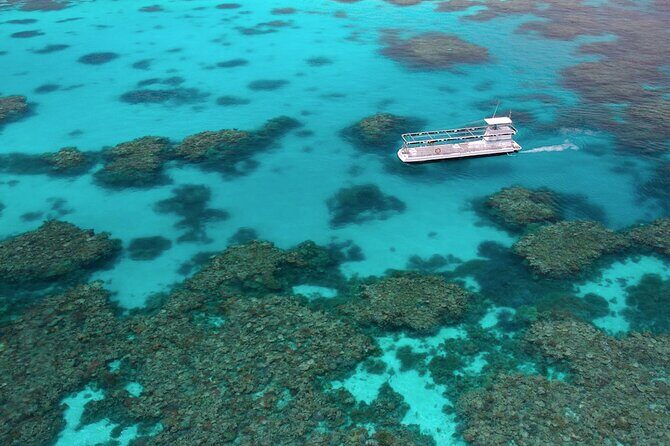 Quicksilver Great Barrier Reef Snorkel Cruise from Port Douglas - The Return Trip and Practical Details