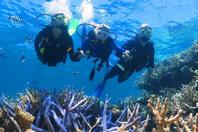 Quicksilver Outer Great Barrier Reef Snorkel Cruise from Palm Cove - Frequently Asked Questions