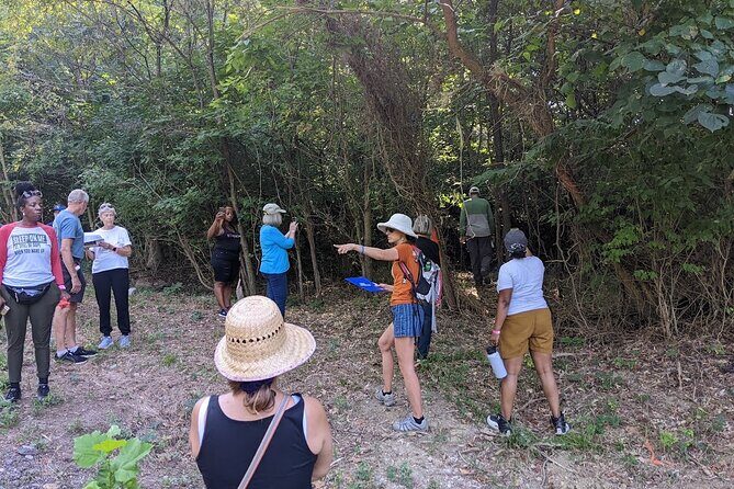 Quindaro Ruins Urban Hike - Who Should Consider This Tour?