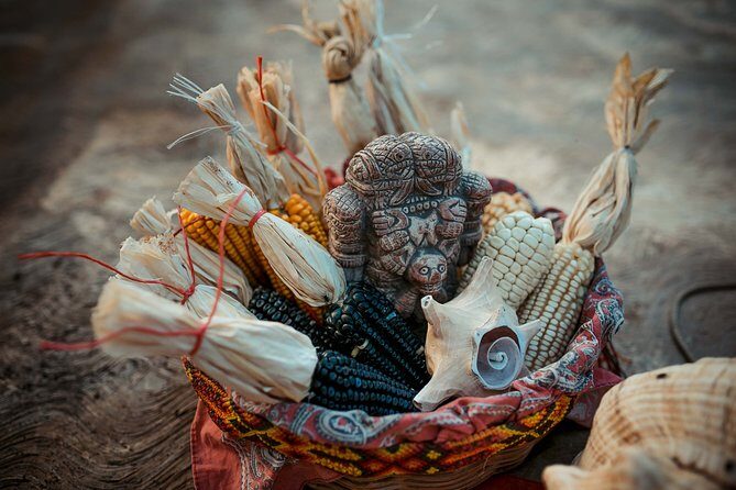 Quintana Roo 5 hours Chocolate Maya Ceremony and Temazcal Maya Ritual Tour - Is It Worth the Price?