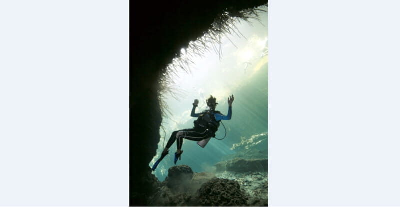 Quintana Roo: Cenote Dive - Introduction: An Underwater Journey Waiting to Happen