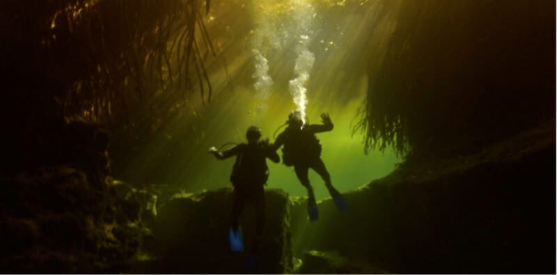 Quintana Roo: Cenote Dive - Why This Tour Offers Great Value