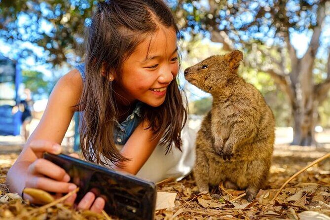 Quokkas Delight Rottnest Island - Final Thoughts: Who Should Consider This Tour?