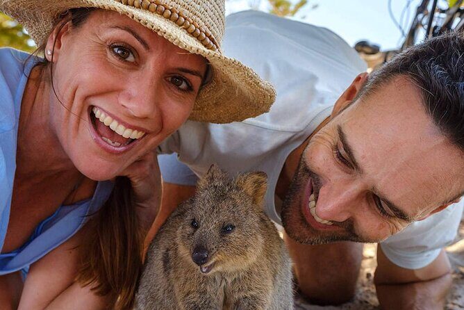 Quokkas Delight Rottnest Island - FAQs