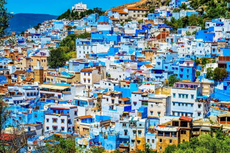 Rabat: Chefchaouen Private Day Trip - An In-Depth Look at the Experience