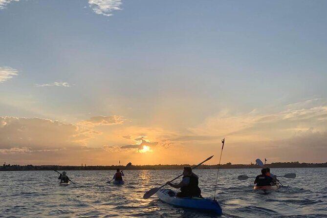 Raby Bay Wildlife Kayak Tour - What Travelers Are Saying