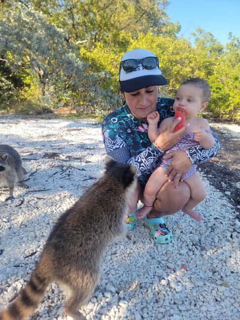 Raccoon Island: Exploration on SUP/Kayak - What You Can Expect from the Tour