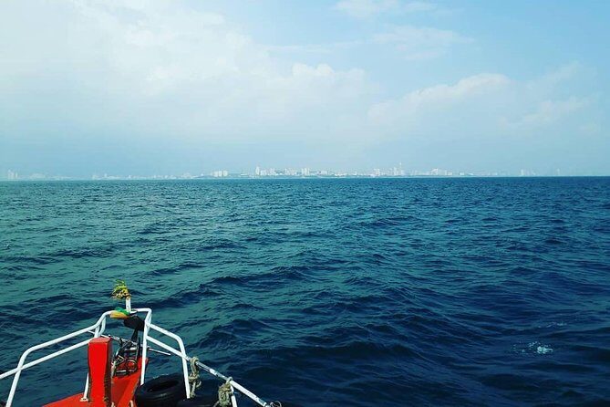 Racha & Coral Island Day Trip by Speedboat - Lunch Included - What Travelers Are Saying