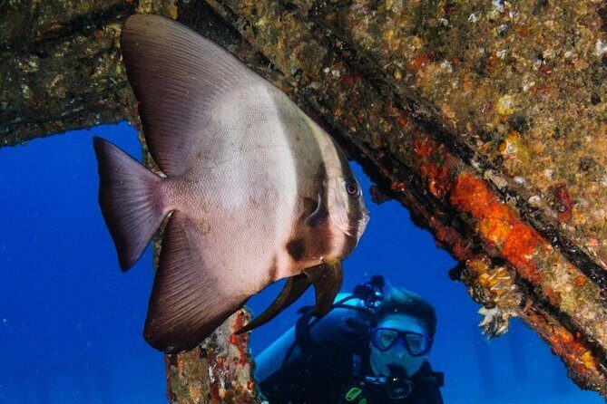 Racha Noi and Racha Yai Dive Trip from Phuket - The Sum Up
