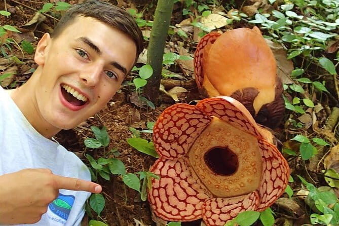 Rafflesia Trek Seekers at Perak (from KL) - Exploring the Rafflesia Trek Near Gopeng: An Authentic Malaysian Adventure
