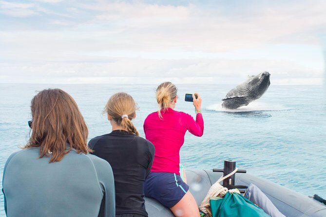 RAFT ADVENTURE - Whale Watch Discovery - Key Points