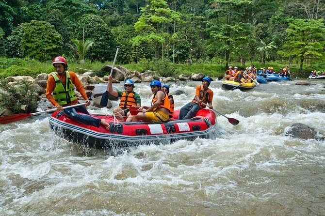 Rafting 5 km, ATV 30 Mins, Fly Fox and Jungle Tour From Phuket - Who Will Enjoy This Tour?