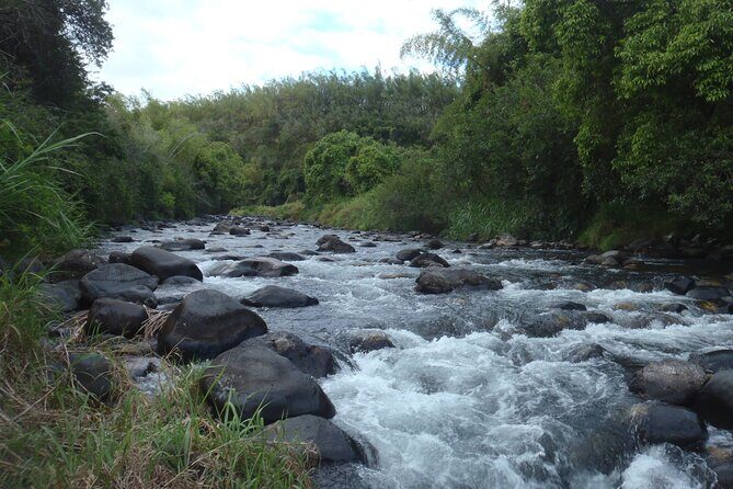Rafting - Pricing and Value