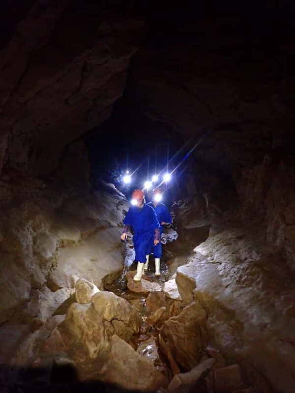 Raglan: Guided Cave Adventure with Glow Worms - The Sum Up: Is This Tour Right for You?