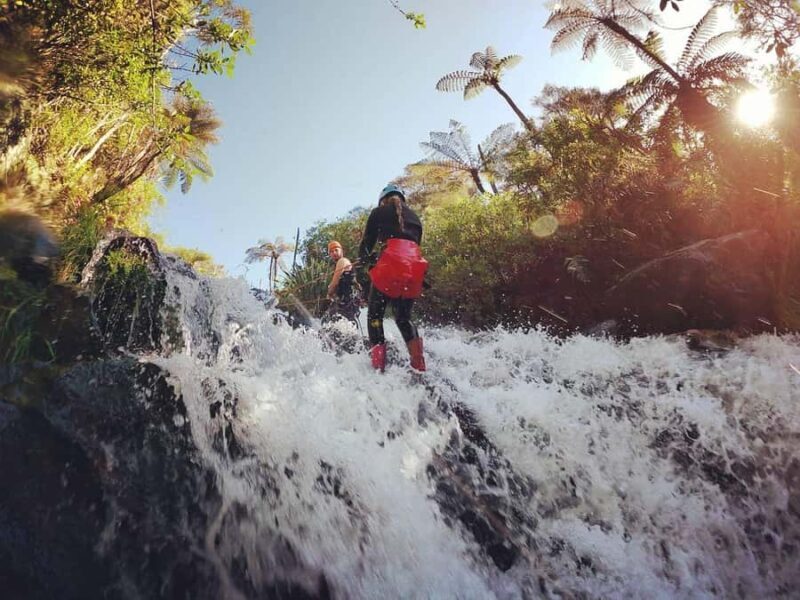 Raglan: Karioi Canyoning - Exploring the Karioi Canyon: What You Can Expect