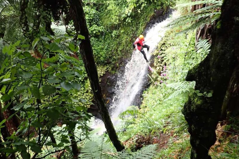 Raglan: Karioi Canyoning - About the Guides and Safety