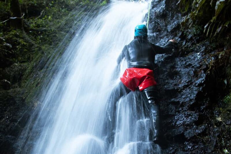 Raglan: Karioi Canyoning - Overall Experience and Who Will Love It