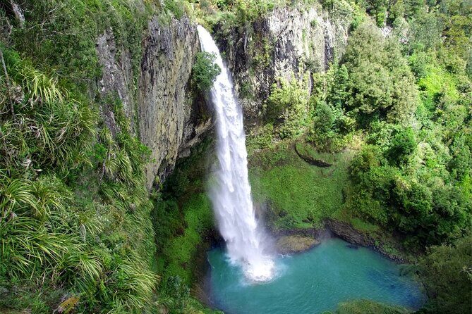 Raglan New Zealand Adventure Tour from Auckland - The Journey Begins: Pickup and Transportation