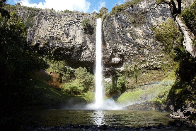 Raglan New Zealand Adventure Tour from Auckland - First Stop: Bridal Veil Falls – A Nature’s Quiet Corner