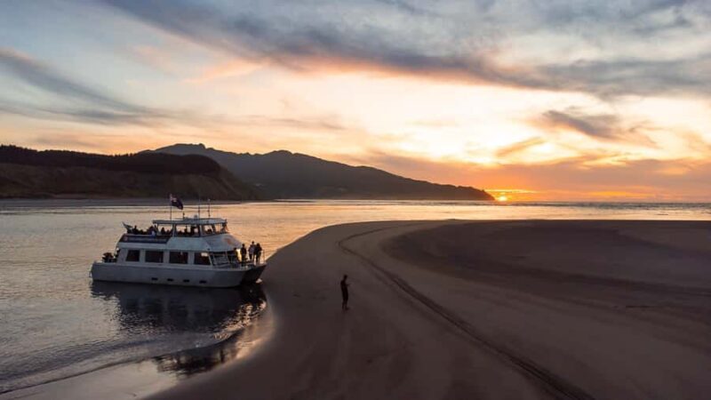 Raglan: Scenic Harbour Sunset Cruise - The Experience: Why It’s Worth Considering