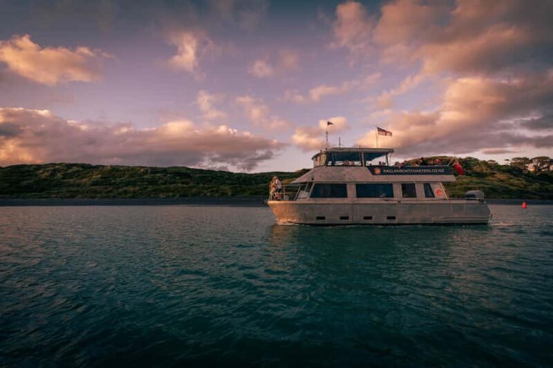Raglan: Scenic Harbour Sunset Cruise - Final Thoughts: Is This Cruise for You?