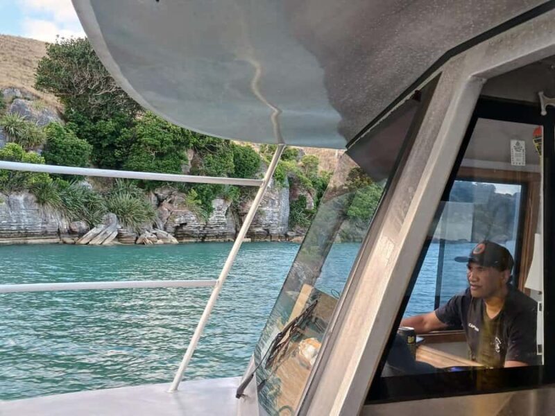 Raglan: Scenic Harbour Sunset Cruise - The Sum Up: Why You Should Consider This Experience