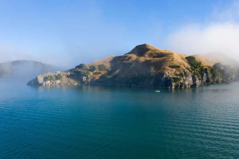 Raglan: Scenic Nature Boat Cruise - Key Points