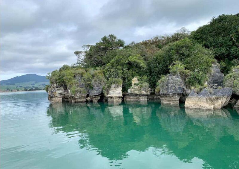 Raglan: Scenic Nature Boat Cruise - What Makes This Raglan Boat Cruise Special?