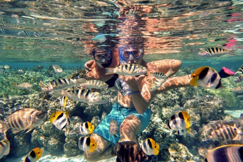 Raiatea: Boat tours and swimming around Tahaa Island. - Key Points
