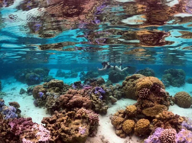 Raiatea: Boat tours and swimming around Tahaa Island. - Final Thoughts