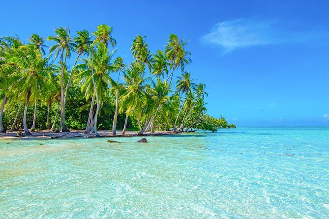 Raiatea & Tahaa Lagoon Cruise: Private Shore Tour - Key Points