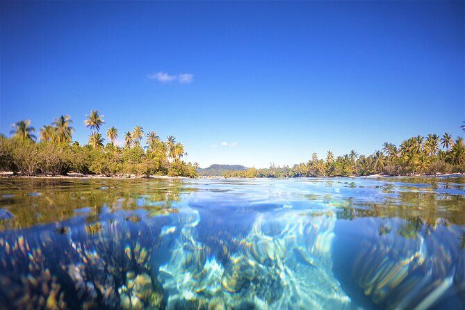 Raiatea-Tahaa Snorkeling in our beautiful Coral Garden - Food, Drinks, and Extras