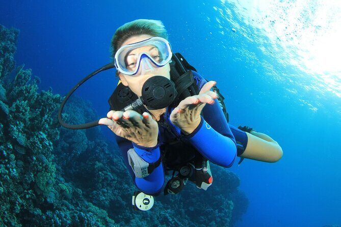 RAID Try-Dive Experience in Kota Kinabalu - A Closer Look at the Schedule and Experience
