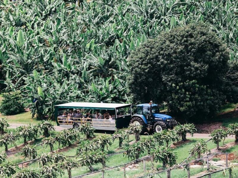 Rail Trail E-Bike Ride & Tropical Fruit World Visit - FAQ
