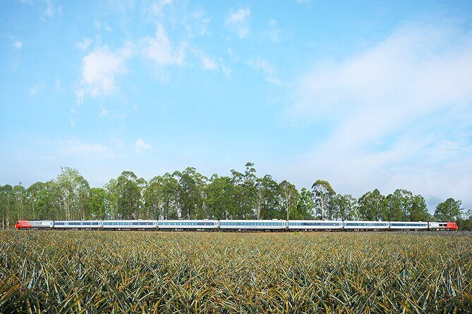 Railbed Brisbane to Cairns Train+Great Barrier Reef Day Tour - Who Is This Tour Best For?