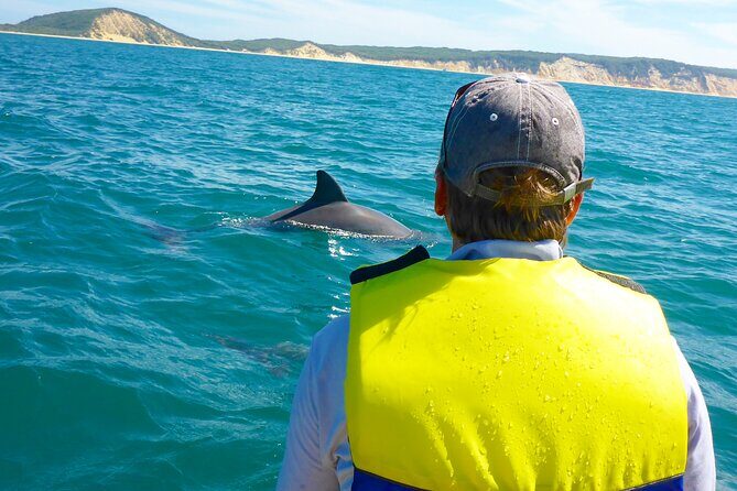 Rainbow Beach: Dolphin & Wildlife Ocean Kayak & Beach 4WD Tour - Key Points