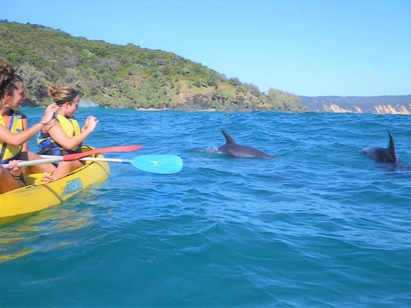 Rainbow Beach: Kayaking with Dolphins and Beach 4WD Tour - Key Points
