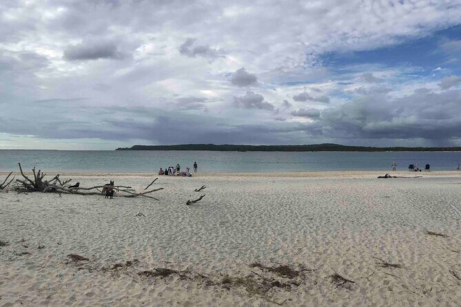 Rainbow Beach Private Tour with Lunch, Carlo Sandblow & Cooloola - The Return Journey and Final Stop in Noosa