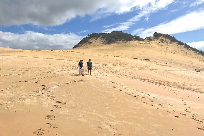 Rainbow Beach Private Tour with Lunch, Carlo Sandblow & Cooloola - What Makes This Tour Stand Out?