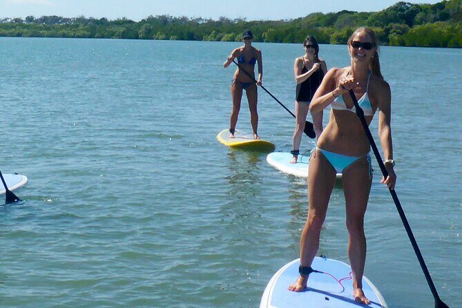 Rainbow Beach: Stand Up Paddle Board 4x4 Tour Double Island Point - The Sum Up: A Well-Rounded, Beautiful Adventure