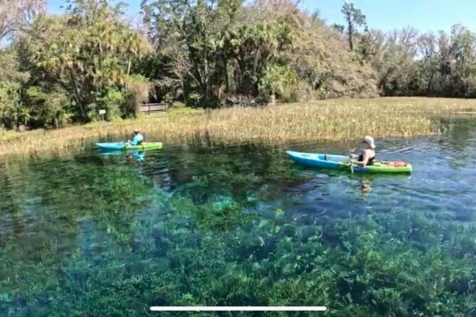 Rainbow River: 8AM & 3PM Snorkel or Scenic Wildlife Cruise - Practical Details and Tips