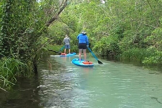 Rainbow River: 8AM & 3PM Snorkel or Scenic Wildlife Cruise - Who Will Love This Tour?