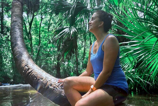 Rainbow Springs Clear Kayak and Paddleboard Guided Tours - Key Points