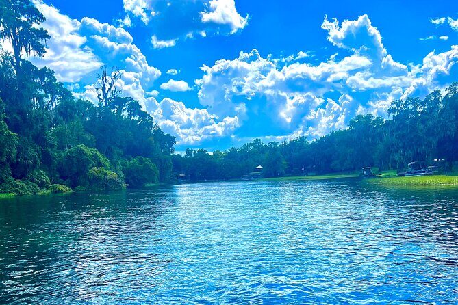 Rainbow Springs Clear Kayak and Paddleboard Guided Tours - The Practicalities: Pricing, Group Size, and What’s Included