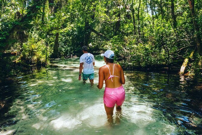 Rainbow Springs: Clear Kayak & Snorkel Eco Tour - An In-Depth Look at the Rainbow Springs Eco Tour