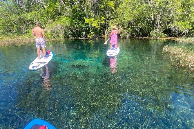 Rainbow Springs Electric Paddle Board Rentals - Key Points