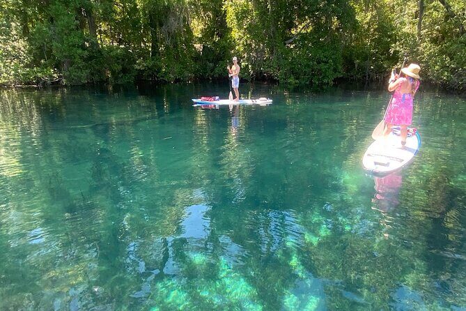 Rainbow Springs Electric Paddle Board Rentals - Who Will Love This Experience?