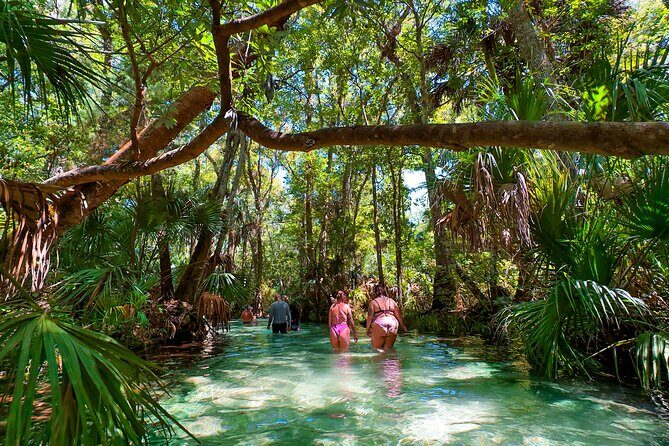 Rainbow Springs Paddle Adventure - Exploring Rainbow Springs: What to Expect