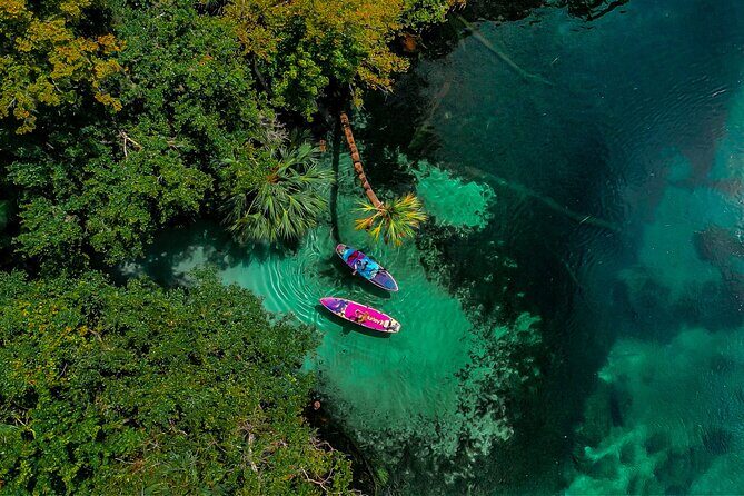Rainbow Springs Paddle Adventure - The Sum Up: Who Will Love This Tour?